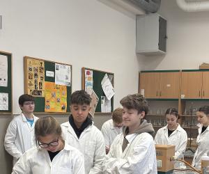 Poklad na konci duhy, krajské kolo